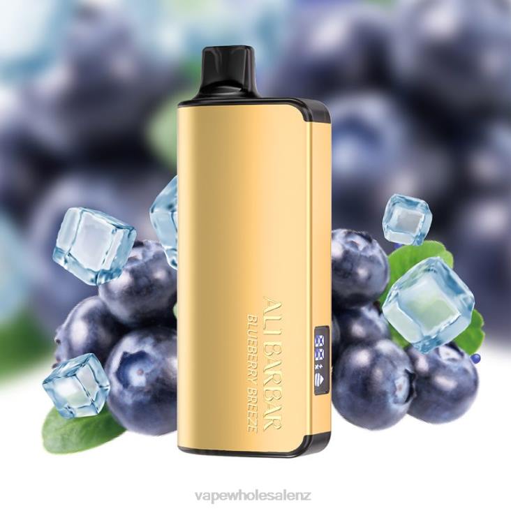 Vape Wholesale Prices - Alibarbar Ingot 20000 Disposable Vape Blueberry Breeze NTV832