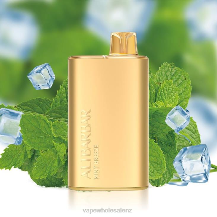 Vape Wholesale Supplier NZ - Alibarbar Rich 8000 Disposable Vape Mint Breeze NTV88