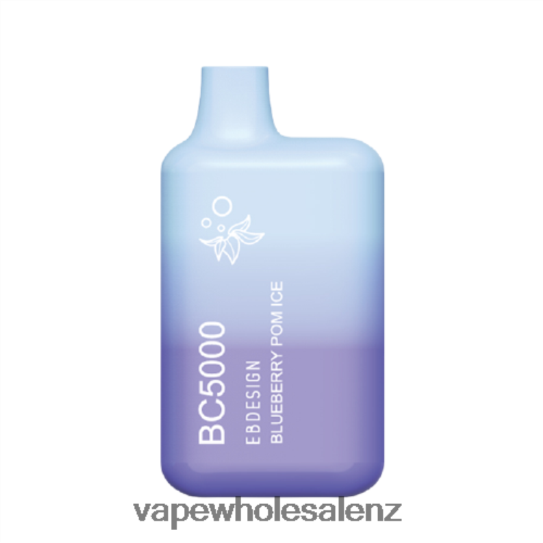Vape Wholesale Supplier - Blueberry Pom Ice NPP44299 ELFBAR BC5000