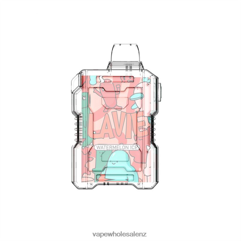 Watermelon Ice