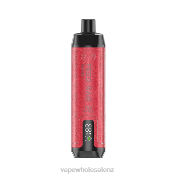 Electronic Cigarette Wholesale Price - Vapsolo SHISHA Disposable Vape Two Apple NTV8106