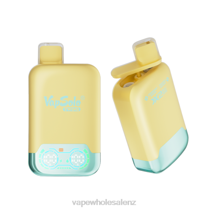 E Cigarettes Wholesale Suppliers - Vapsolo TWINS Disposable Vape Pineapple Coconut & Strawberry Banana NTV8125