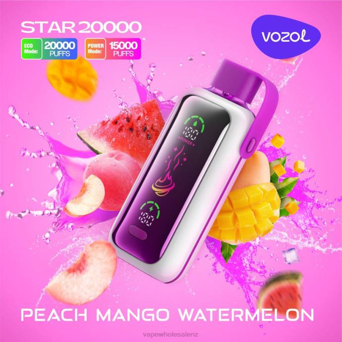 E Cig Wholesale - PEACH MANGO WATERMELON VOZOL STAR 20000 4XV216
