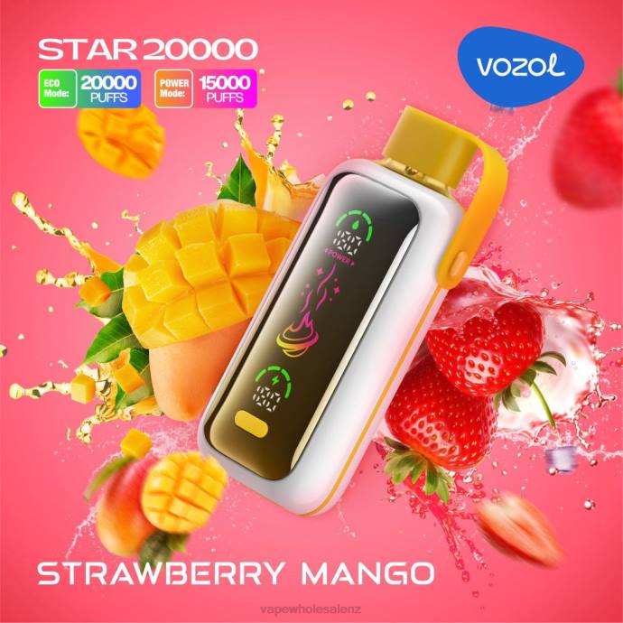E-Cigarette Wholesale - STRAWBERRY MANGO VOZOL STAR 20000 4XV21