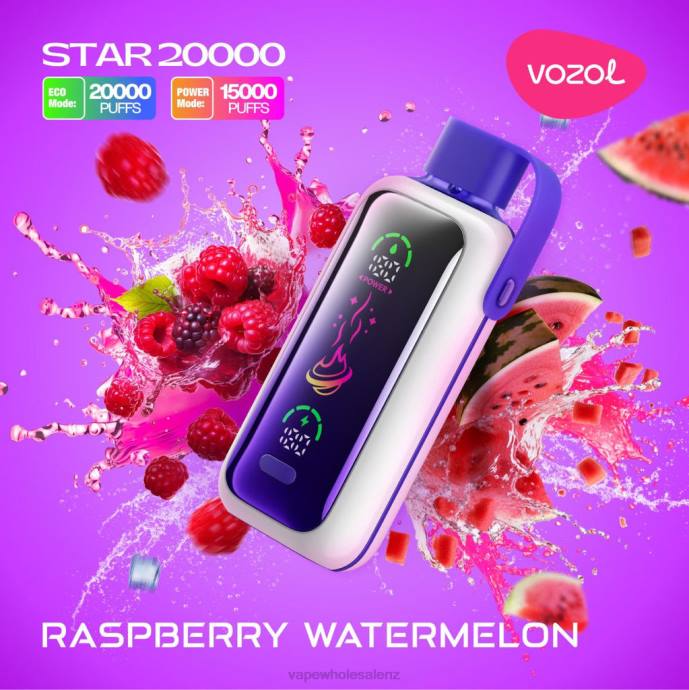 E Cigarettes Wholesale Suppliers - RASPBERRY WATERMELON VOZOL STAR 20000 4XV219
