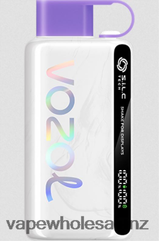 Electronic Cigarette Wholesale - Grape Ice NPP4413 VOZOL STAR 9000/12000 5%