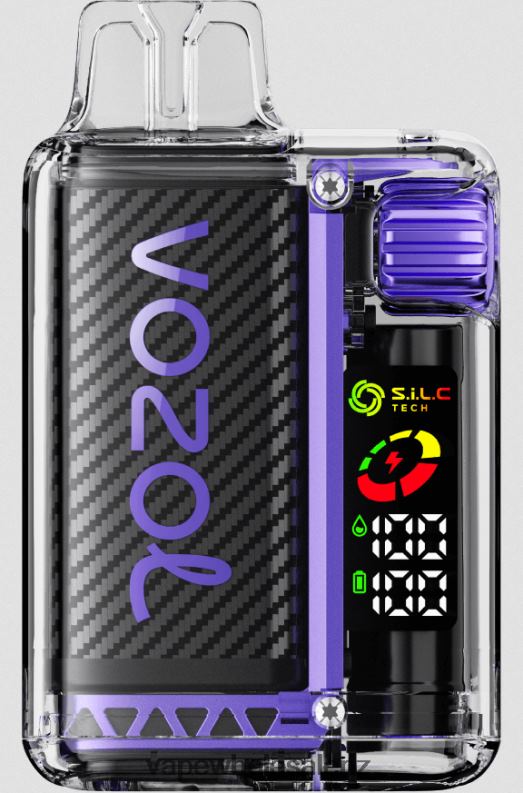 E Cig Wholesale - Grape Ice NPP4412 VOZOL VISTA 16000/20000 5%