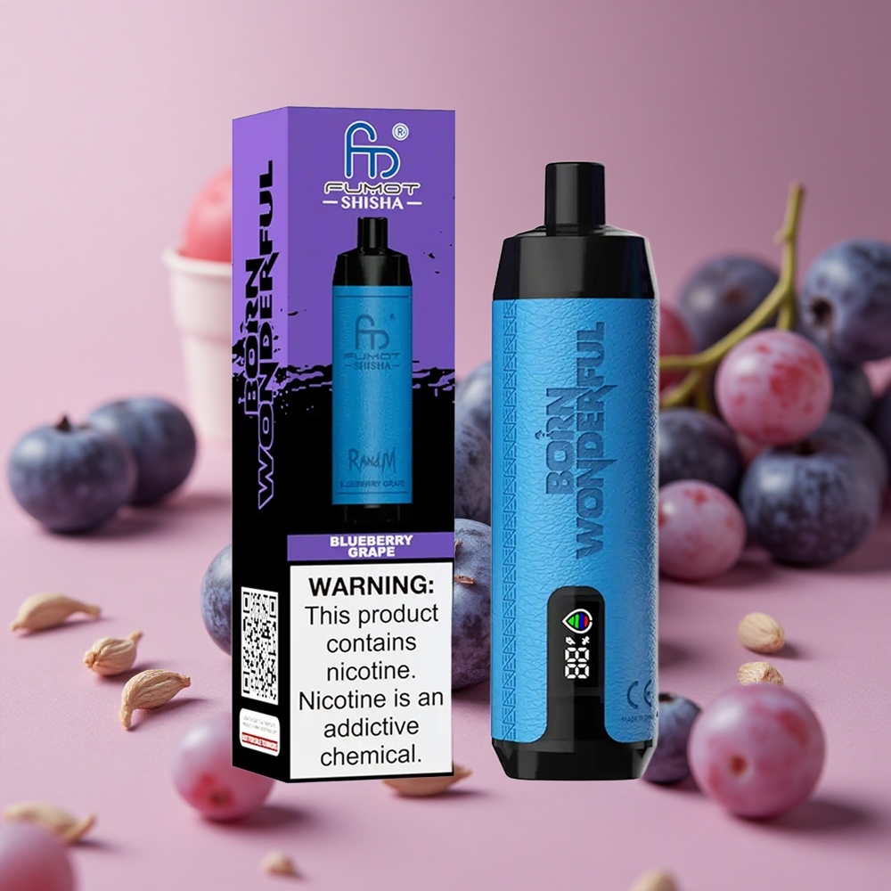 RandM Fumot Shisha 10000 Puffs Blueberry Grape 18ml Prefilled e-liquid 850 mAh Battery New Zealand wholesale suppliers