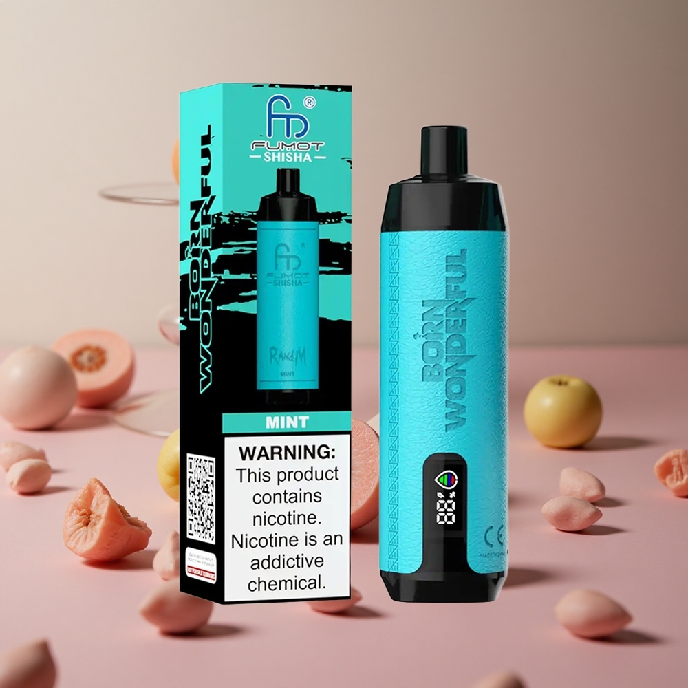 RandM Fumot Shisha 10000 Puffs Mint 18ml Prefilled e-liquid 850 mAh Battery New Zealand wholesale suppliers